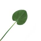 Folhas Permanentes | Folhagem De Palmeira Leque 3d Artificial